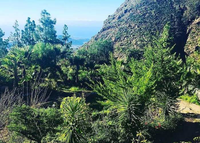 Tenerife Nature Retreat * Ifonche