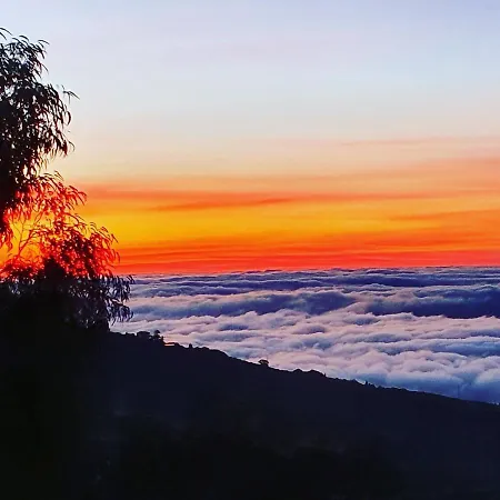 Holiday home Tenerife Nature Retreat Ifonche