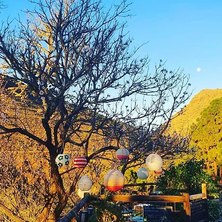 Tenerife Nature Retreat * Ifonche