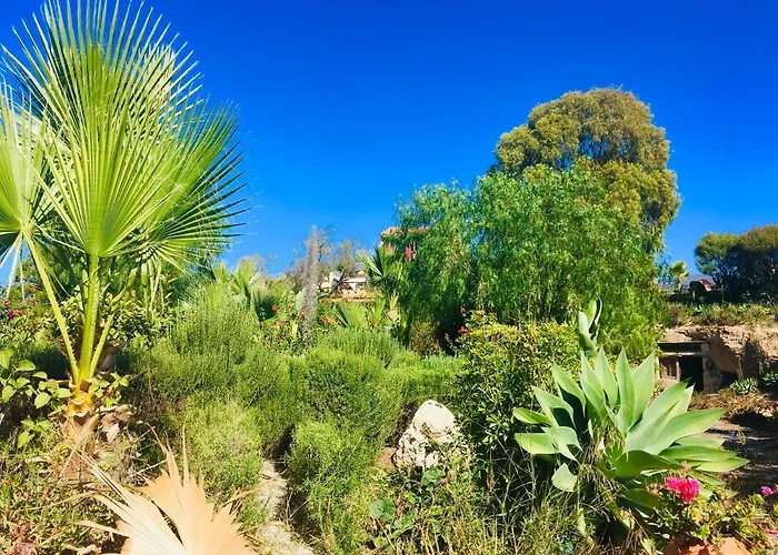 Tenerife Nature Retreat Ifonche