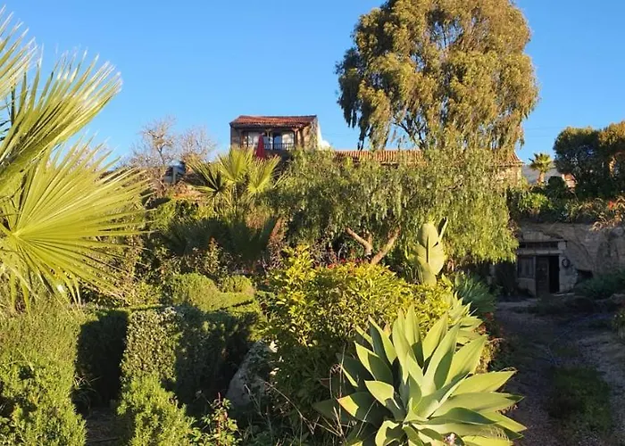 Сasa de vacaciones Tenerife Nature Retreat Ifonche
