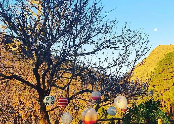 Tenerife Nature Retreat * Ifonche