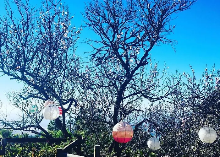 Tenerife Nature Retreat בית נופש