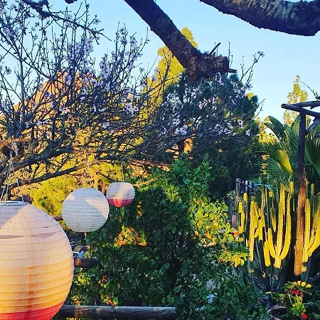 Tenerife Nature Retreat 펜션 *