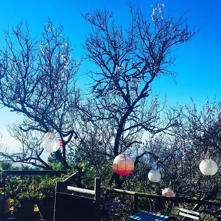 Tenerife Nature Retreat Vakantiehuis