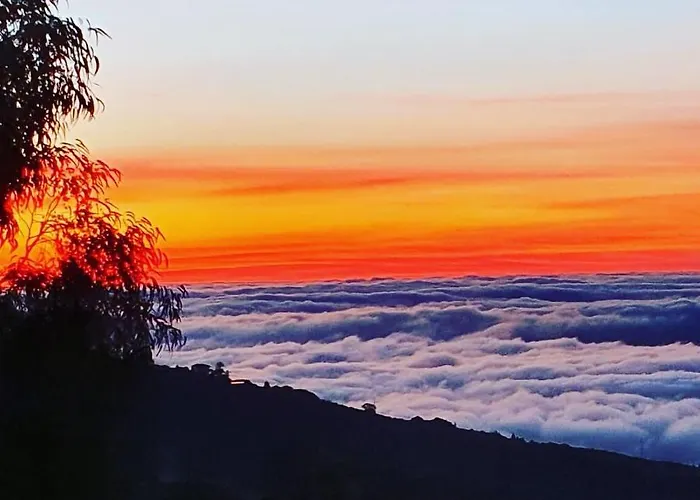 Nyaraló Tenerife Nature Retreat Ifonche